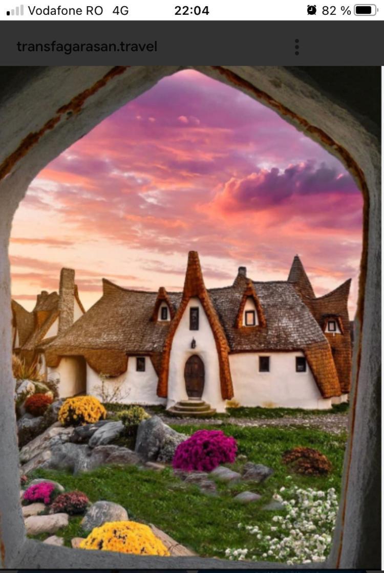 ,, La Maison Concordia " Cincu Bagian luar foto