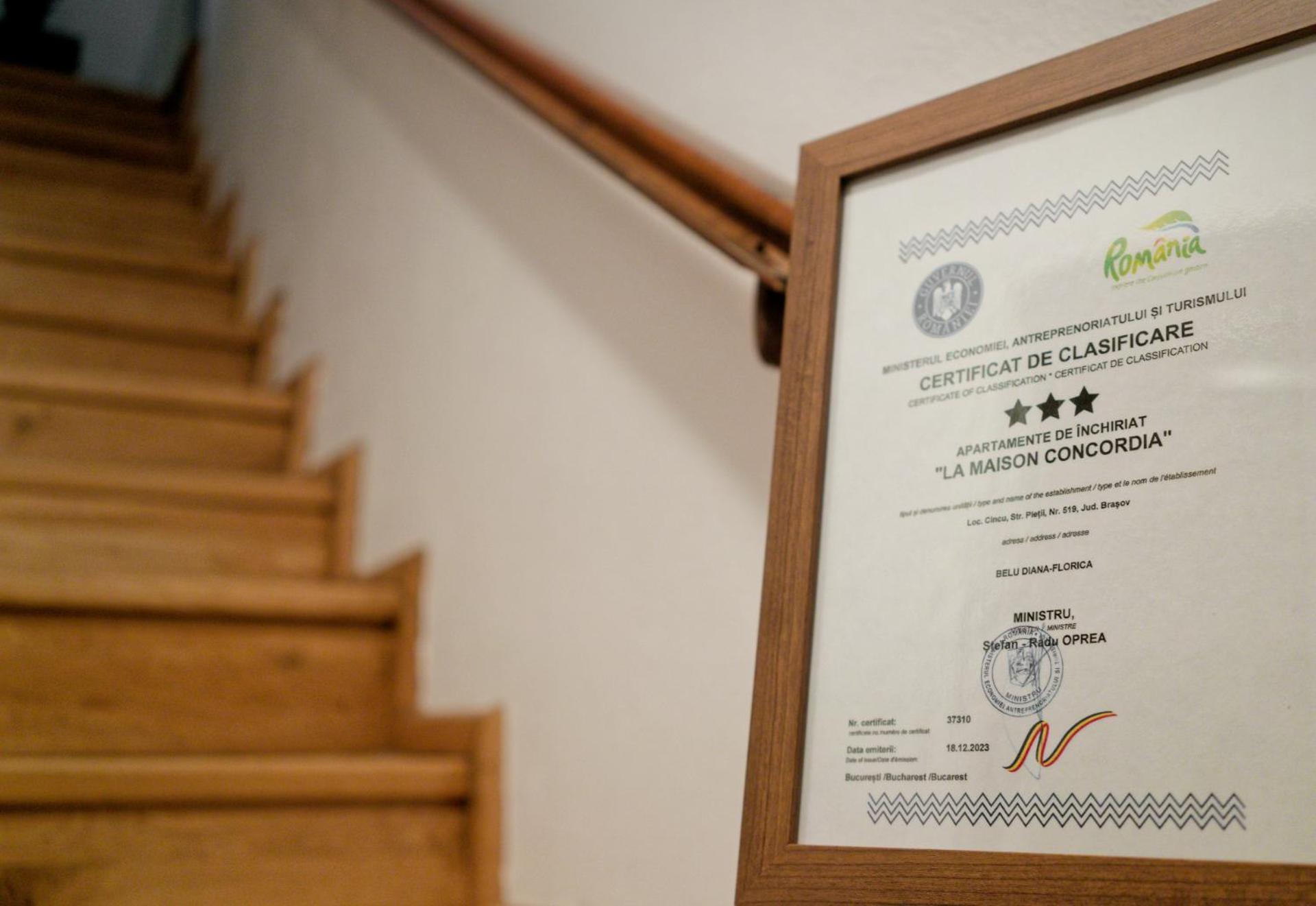 ,, La Maison Concordia " Cincu Bagian luar foto