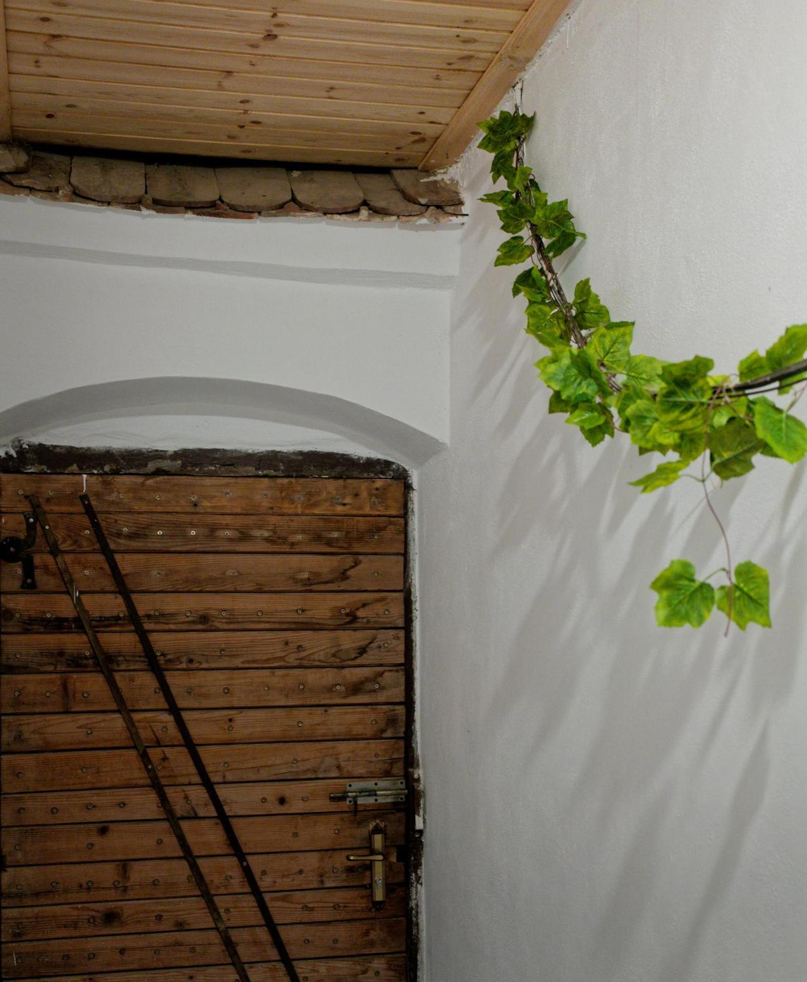 ,, La Maison Concordia " Cincu Bagian luar foto